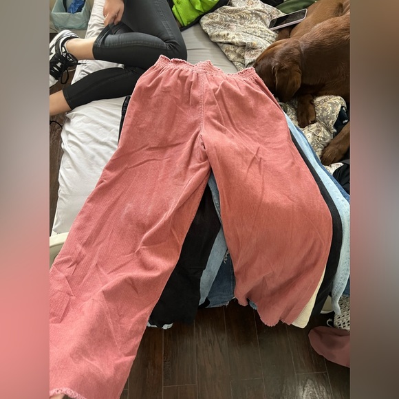 BDG Pants - BDG cargos